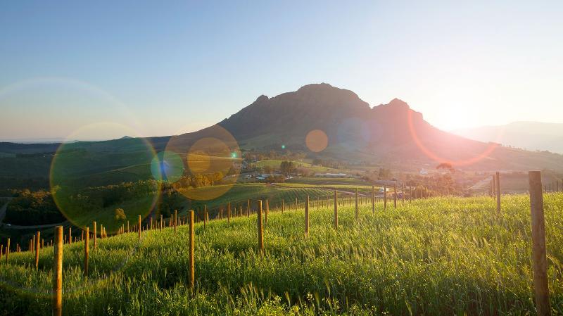 Delaire Graff Lodges And Spa Municipalità locale di Municipalità locale di Stellenbosch Esterno foto