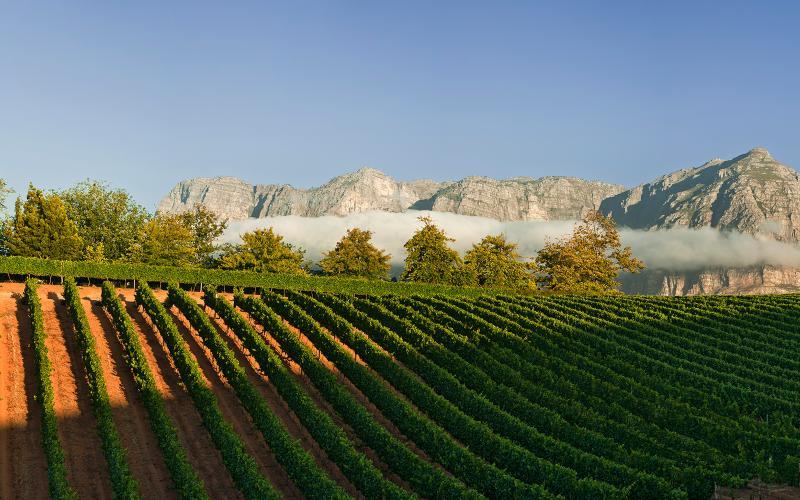 Delaire Graff Lodges And Spa Municipalità locale di Municipalità locale di Stellenbosch Esterno foto